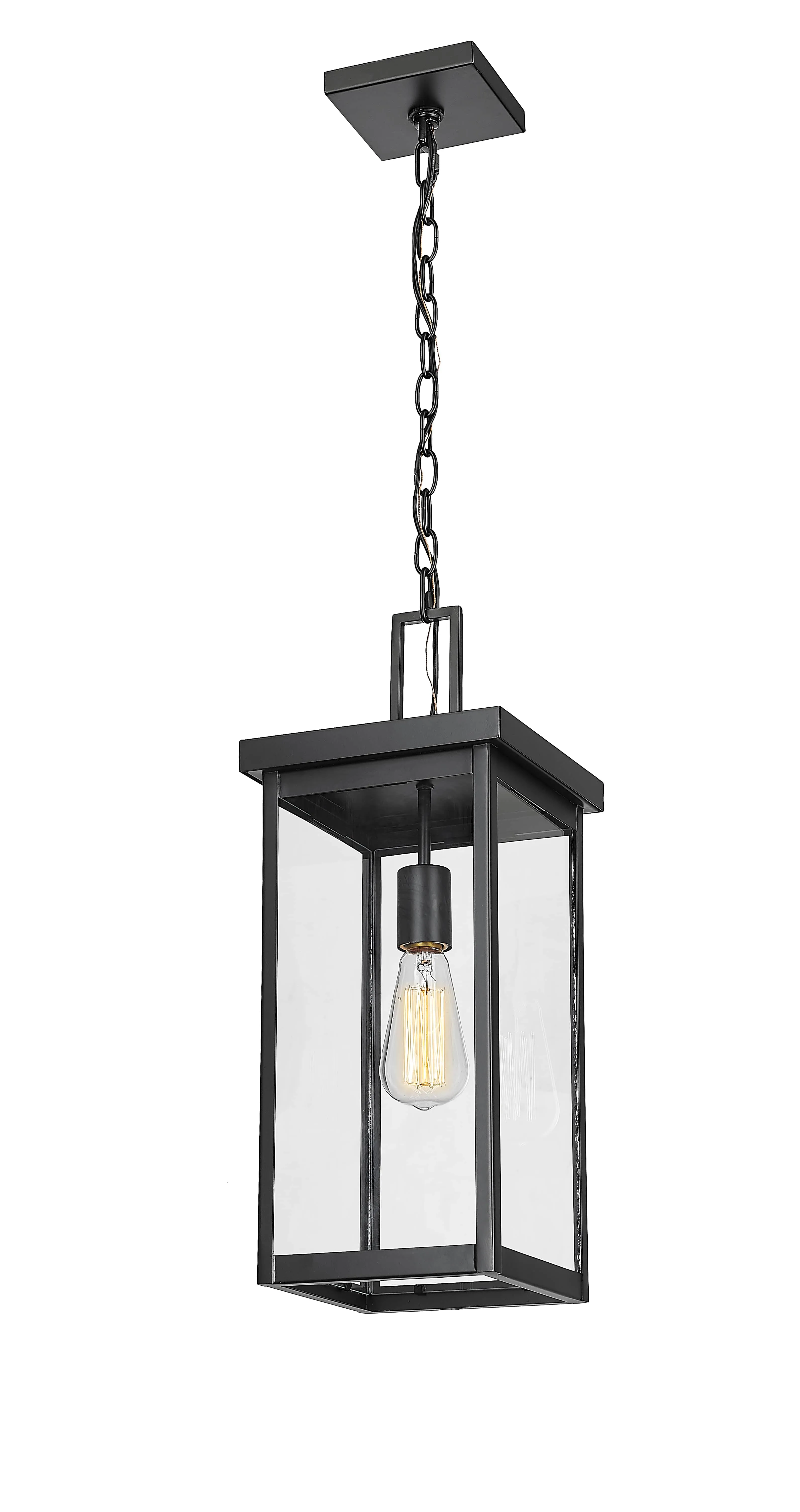 Barkeley Outdoor Hanging Lantern - Powder Coated Black - Clear Glass - 8in. Diameter - E26 Medium Base