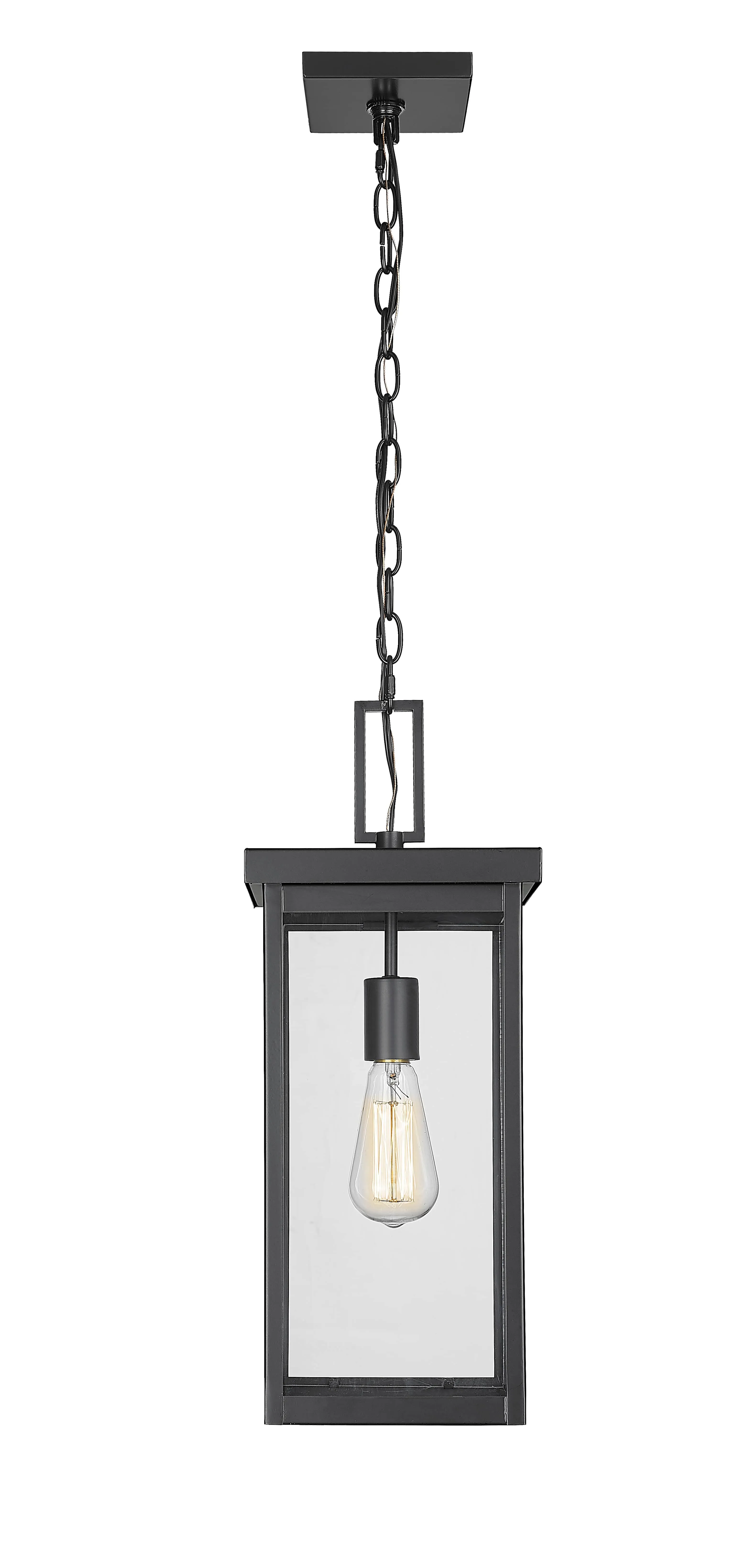 Barkeley Outdoor Hanging Lantern - Powder Coated Black - Clear Glass - 8in. Diameter - E26 Medium Base