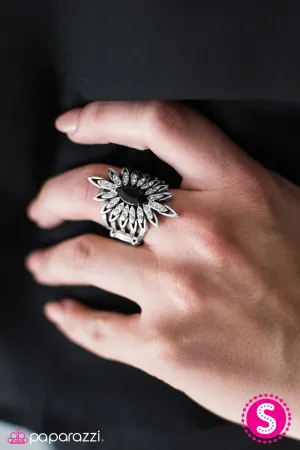 Paparazzi Ring ~ Born To Be A Star - Black